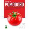 38 — Pomodoro