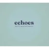13 — Echoes (Willett)