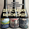 Дегустация Быков Сидр