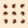 10 — Hazelcore