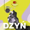 4 — Dzyń: Red Wine BA
