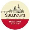 2 — Maltings Irish Ale