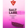 27 — SALT LAKE 2 | raspberry • mint