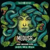 13 — Medusa