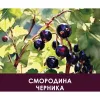 4 — Mjodvin Черника-Смородина