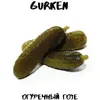 22 — Gurken / Огуречный гозе