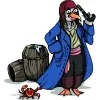 15 — Пираты балтийского моря