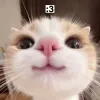 11 — Чмок