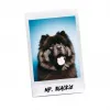 2 — MR. BLACKIE