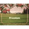 2 — Premium