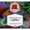 3 — APA