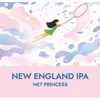 2 — Net Princess