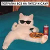 4 — Транжира