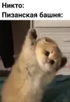 8 — БЕЛЬГИЯ
