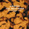 8 — Gingerol Sea Buckthorn