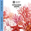38 — КРАСНОЕ МОРЕ