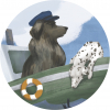 6 — БарКас