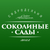 9 — Сидр безалкогольный полусухой