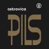 176 — PILS