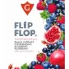 28 — FLIP FLOP 55 | black currant • blueberry • pomegranate • raspberry