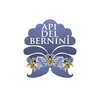 API DEL BERNINI