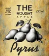 15 — Pyrus
