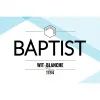 3 — Baptist Wit / Blanche