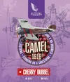 1 — CAMEL