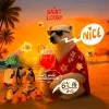 4 — Nice