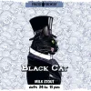 10 — Black Cat