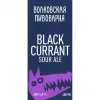 16 — Black Currant Sour Ale