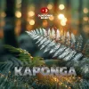2 — Kaponga