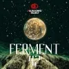38 — Ferment 42