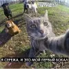 37 — Первый Бокал