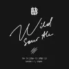 15 — Wild Sour Ale