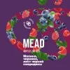 5 — Малина, черника, лист черной смородины
