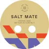 3 — Salt Mate