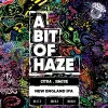 3 — A Bit of Haze: Citra, Simcoe
