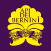 Api Del Bernini