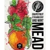 4 — Grapefruit, Strawberry & Mint Mead