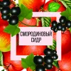 8 — Смородиновый сидр