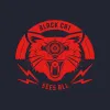 4 — Black Cat Sees All