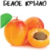 34 — Белое Крыло