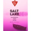 18 — SALT LAKE 2 | raspberry • mint