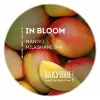 289 — IN BLOOM