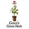 28 — Grace's Green Herb