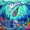 6 — Маори