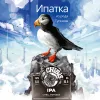 2 — Ипатка из рода Тупиков
