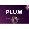 10 — PLUM - ПЛАМ