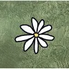 8 — Paganel